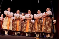 Występ Estrady Regionalnej "Równica"